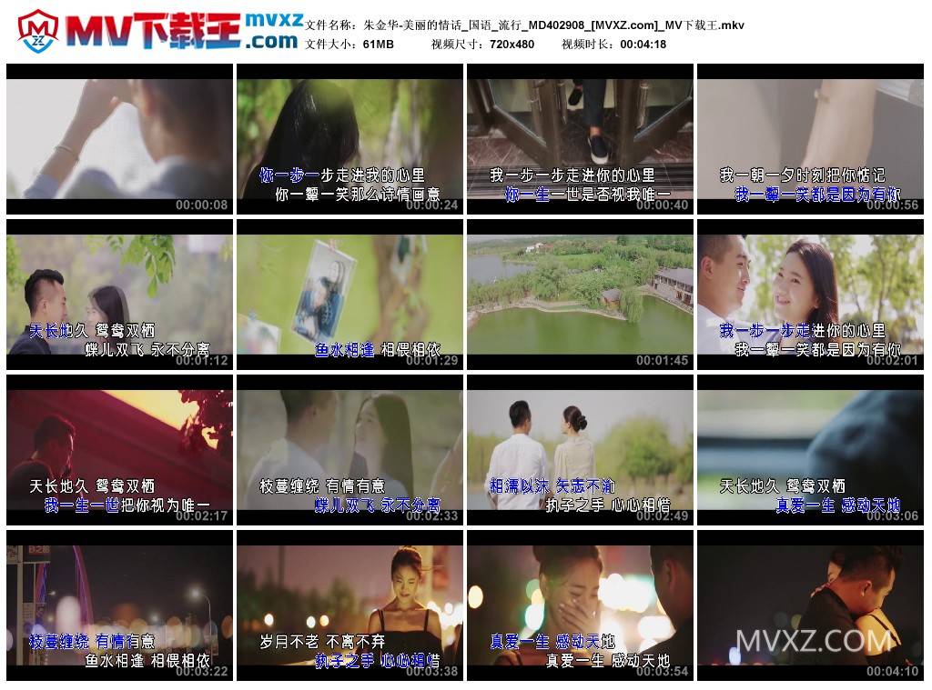 朱金华-美丽的情话_国语_流行_MD402908